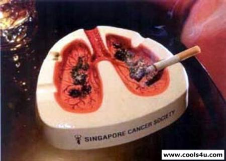 hada mandare de9albe me7ro9e